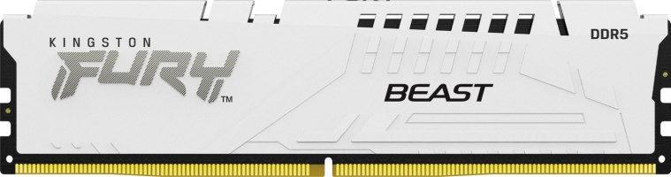 Kingston FURY Beast White 16GB (1x16), DDR5-6000 CL30 (KF560C30BWE-16)