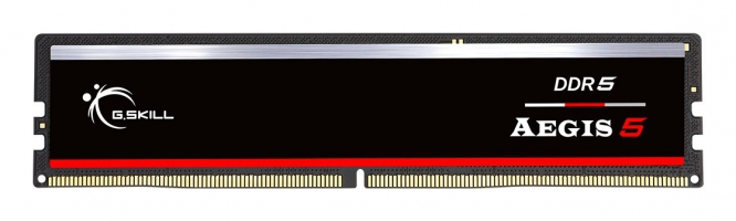 G.Skill Aegis 16GB (1x16) DDR5‑5600 CL36 (F5-5600J3636C16GX1-IS)