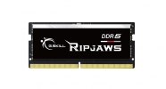 G.Skill RipJaws 64GB (2x32) D5 SO-DIMM 5600 CL46 (F5-5600S4645A32GX2-RS)