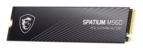 MSI SPATIUM M560 1TB PCIe 5.0 NVMe M.2 (S78-440L0F0-P83)