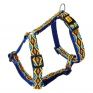 Oprsnica DINGO Guard Winnetou Blue Two-Strap Dog Size L 2,5x54-100cm