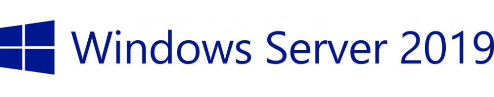 Windows Server 2019 5 User CAL EMEA Lic ROK P11077-A21 P11077-A21