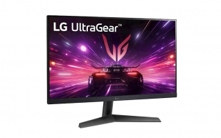 LG UltraGear 24GS60F-B24